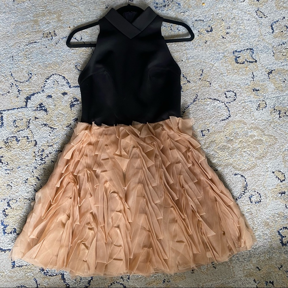 Sachin + Babi dress